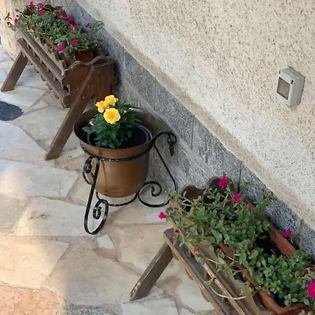 La Maison De P I M P I N *