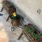La Maison De P I M P I N *